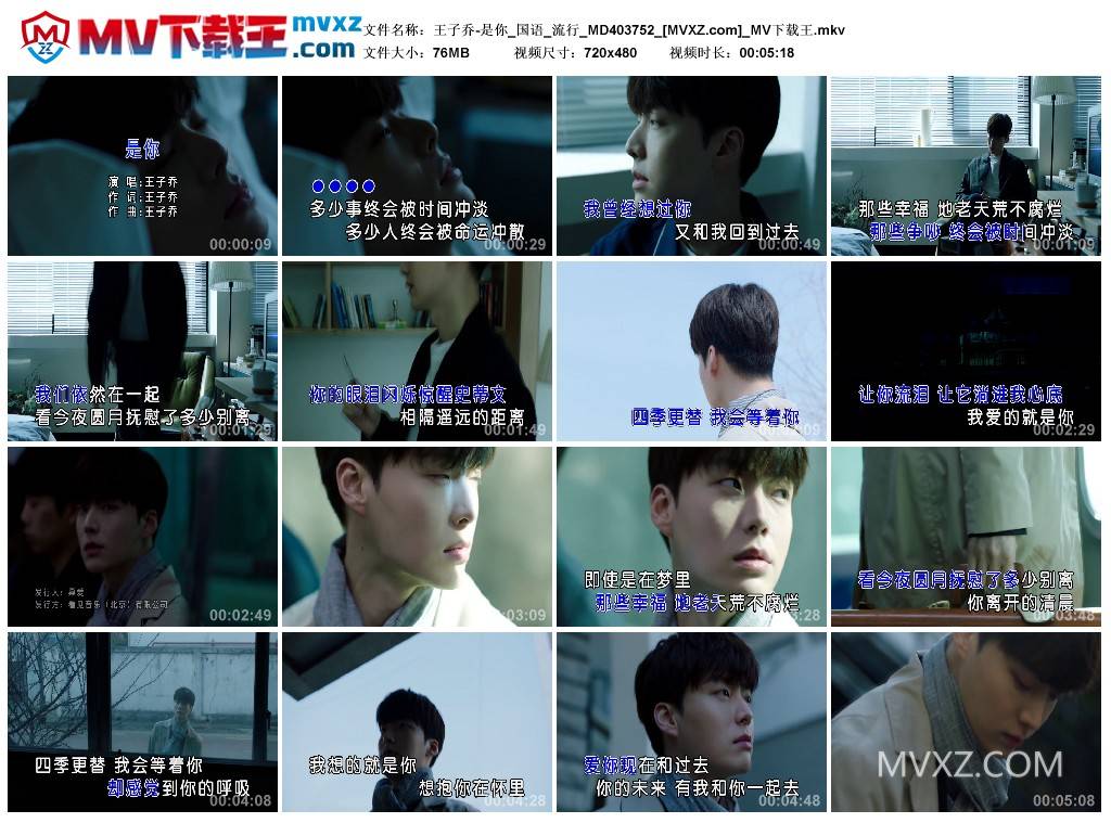 王子乔-是你_国语_流行_MD403752